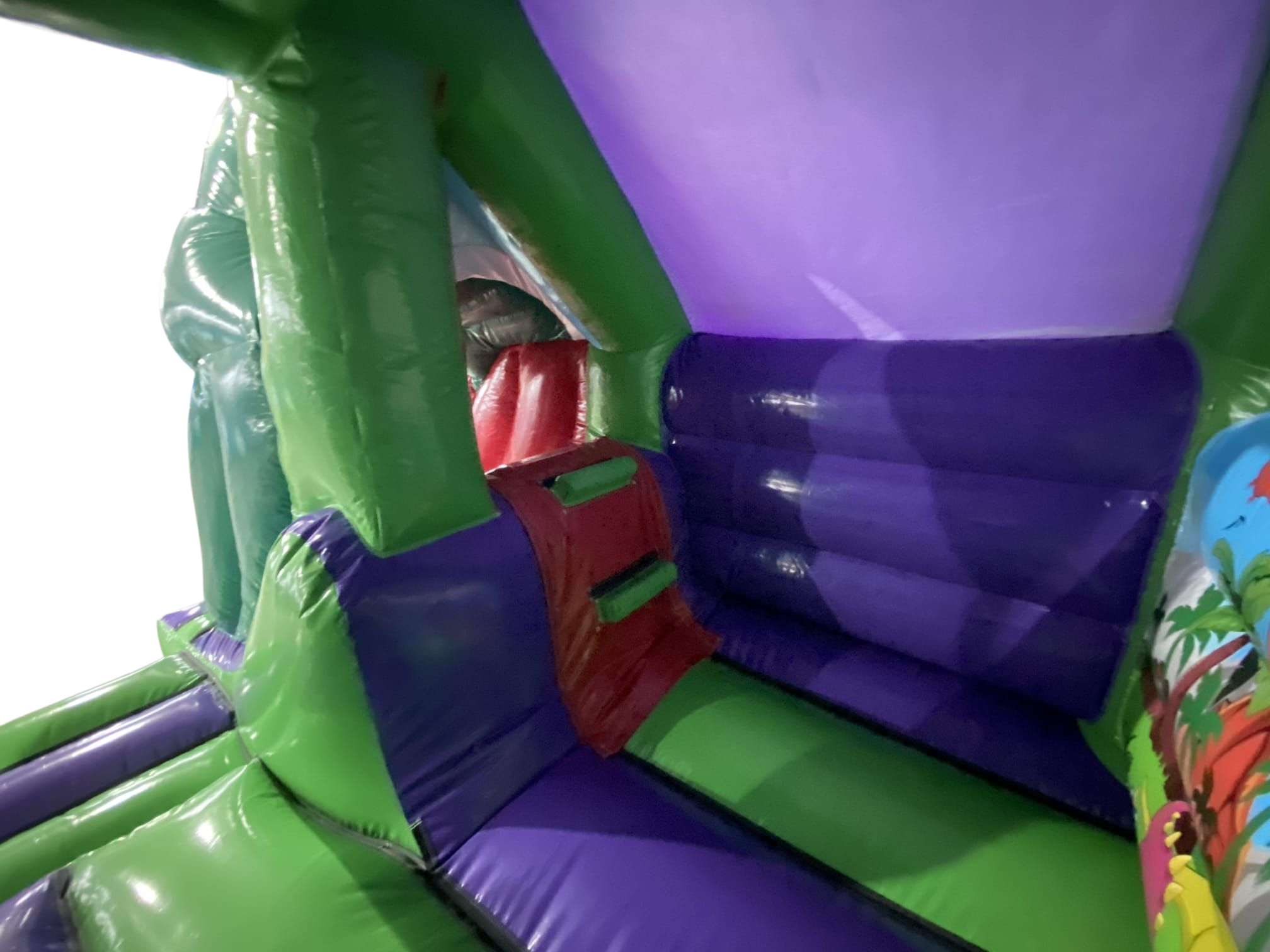 Dino 3