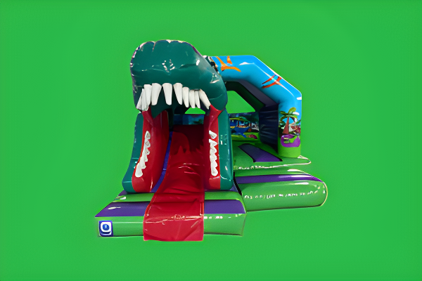 Dinosaur Slide Castle